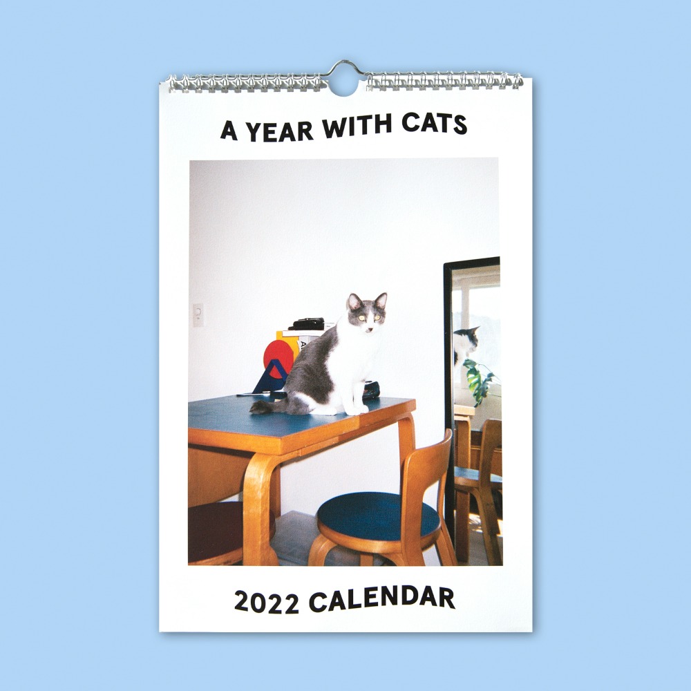 퍼얼 CAT CLUB 2022 CALENDAR 위시버킷