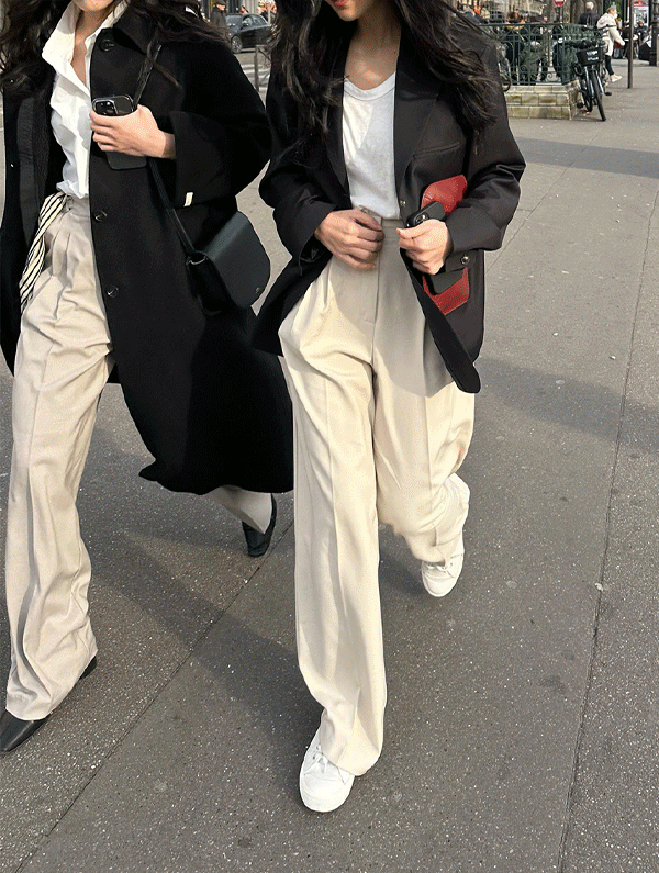 tote-pleated-trousers