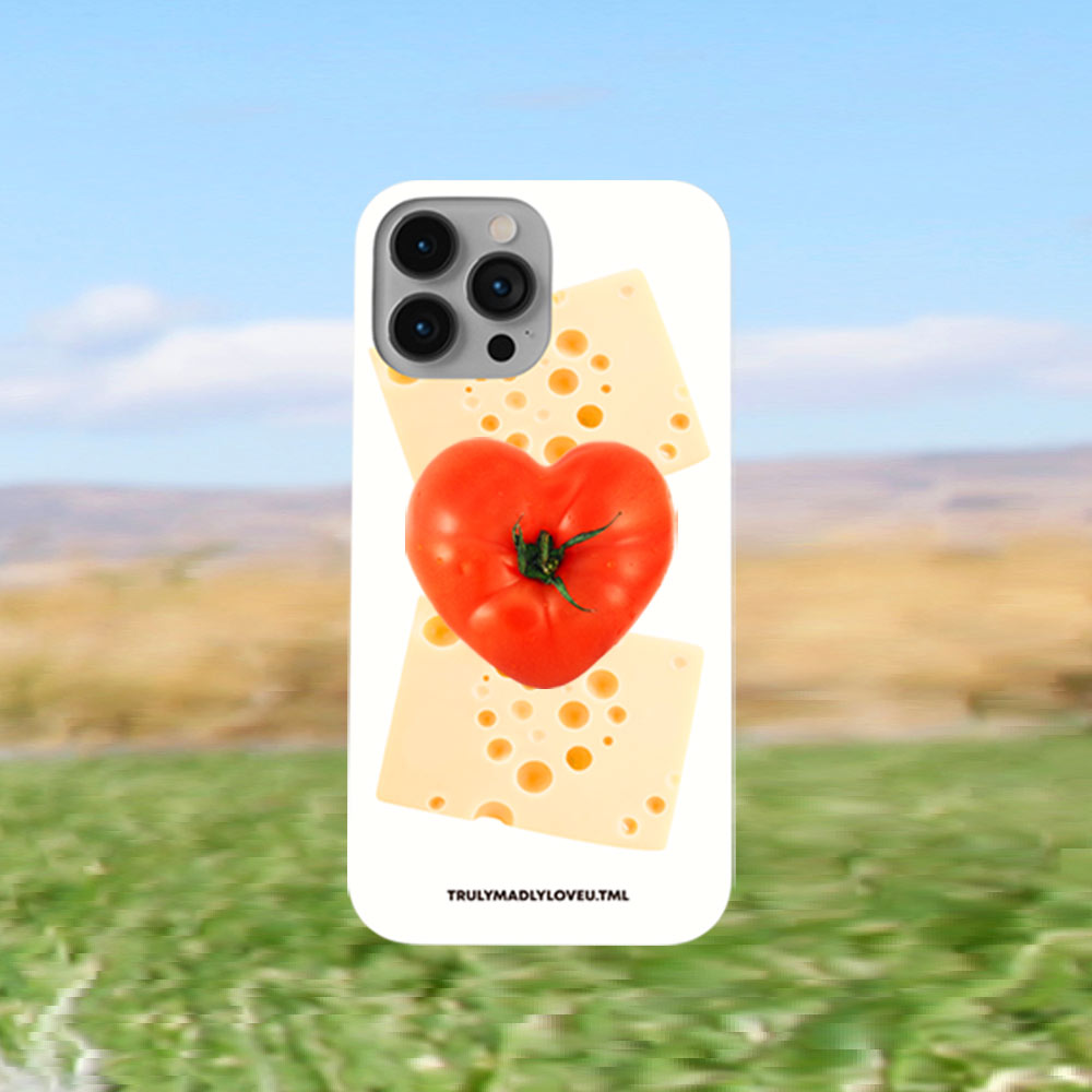 티엠엘 CHEESE CASE ( 2TYPE / 케이스단품 ) - 위시버킷