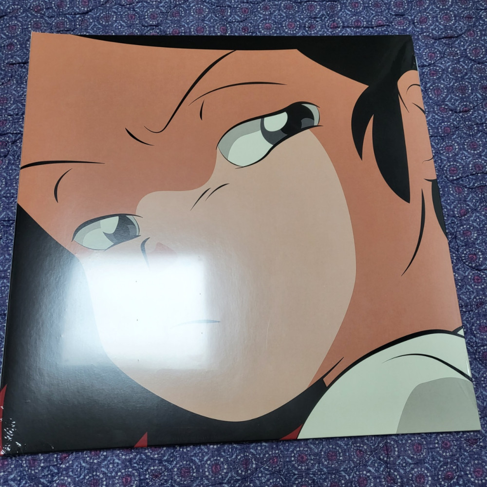 激レア盤　新品　ADOY 廃盤　アナログ LP レコード　CATNIP 激レア盤 新品 ADOY 廃盤 アナログ LP レコード CATNIP - メルカリ