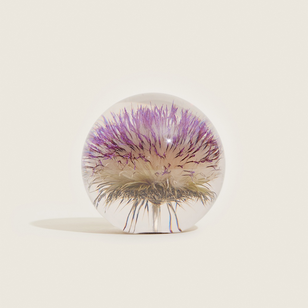 라프터 앤드 포게팅 [Hafod Grange] Open Thistle Paperweight - Large - 위시버킷