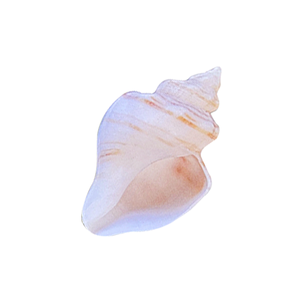 선글릿 OBJET TOK - SHELL - 위시버킷