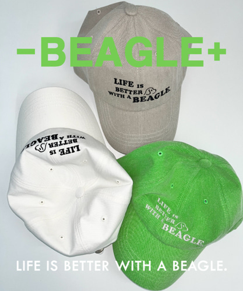 토니캡 Beagle 비글 ballcap 위시버킷