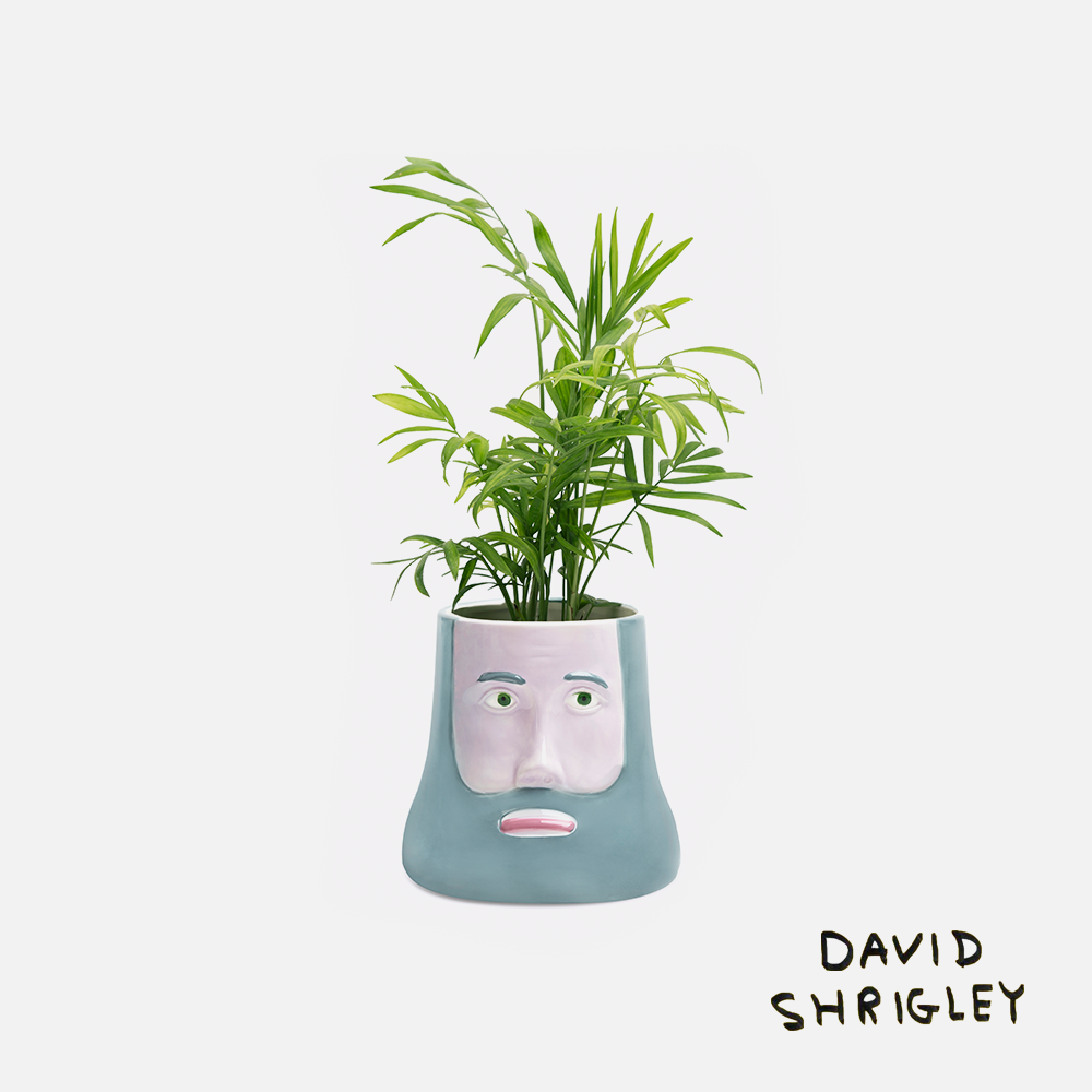 프린트베이커리 The Philosopher x David Shrigley, 철학자 화병, 데이비드슈리글리 - 위시버킷