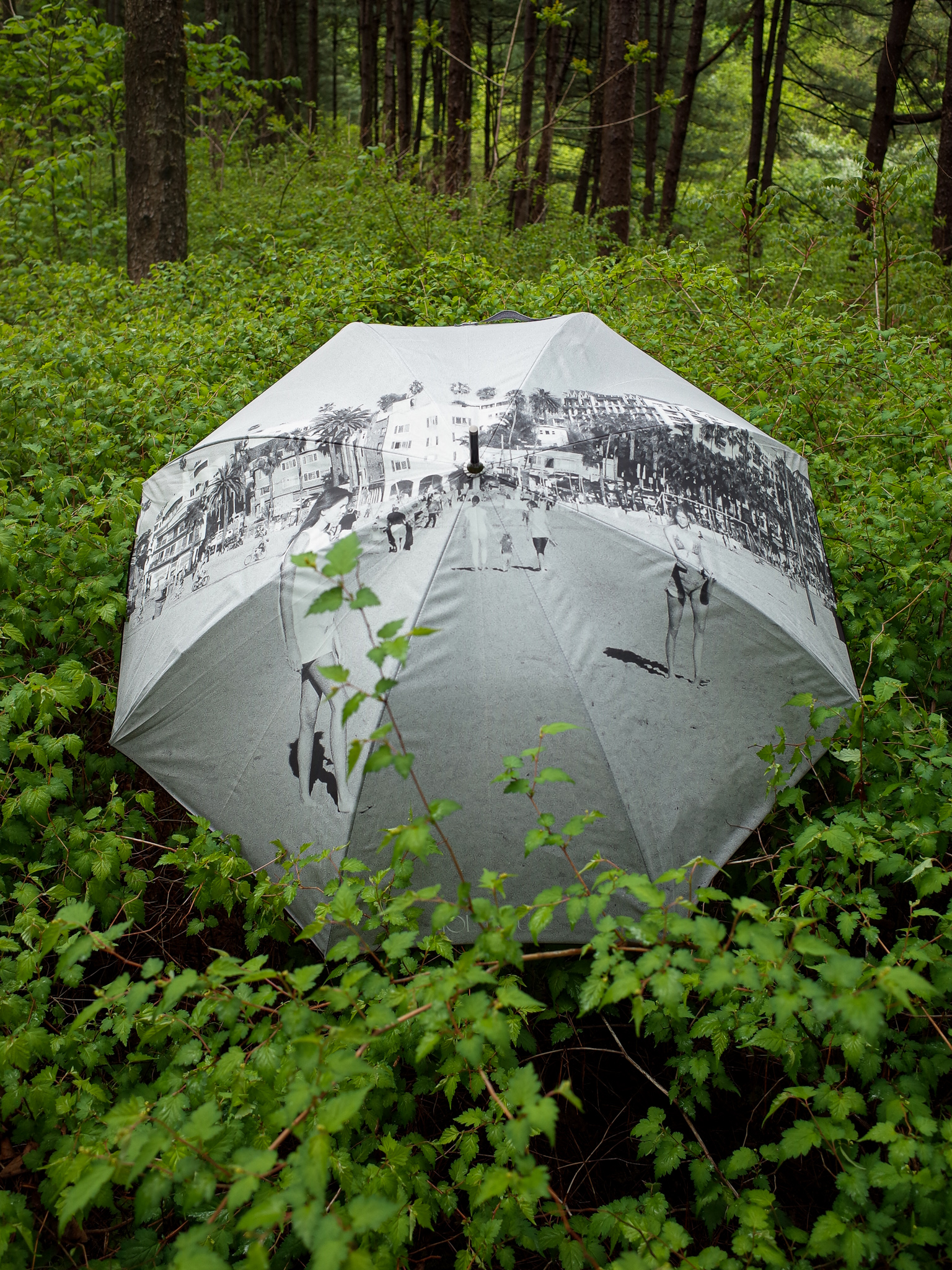 톨하우스 LOS ANGELES UMBRELLA 위시버킷