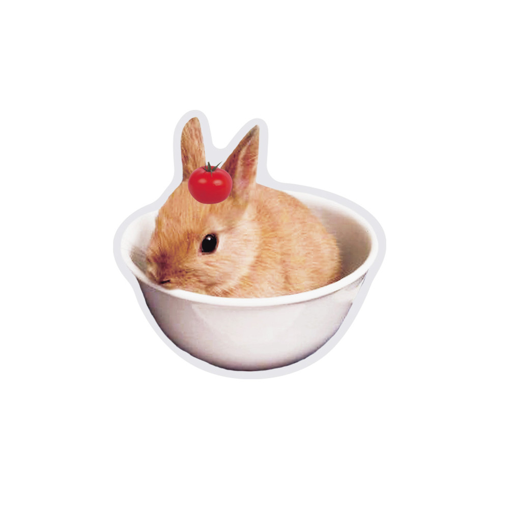 냅 클럽 Rabbit grip tok , 토끼 그립톡 - 위시버킷