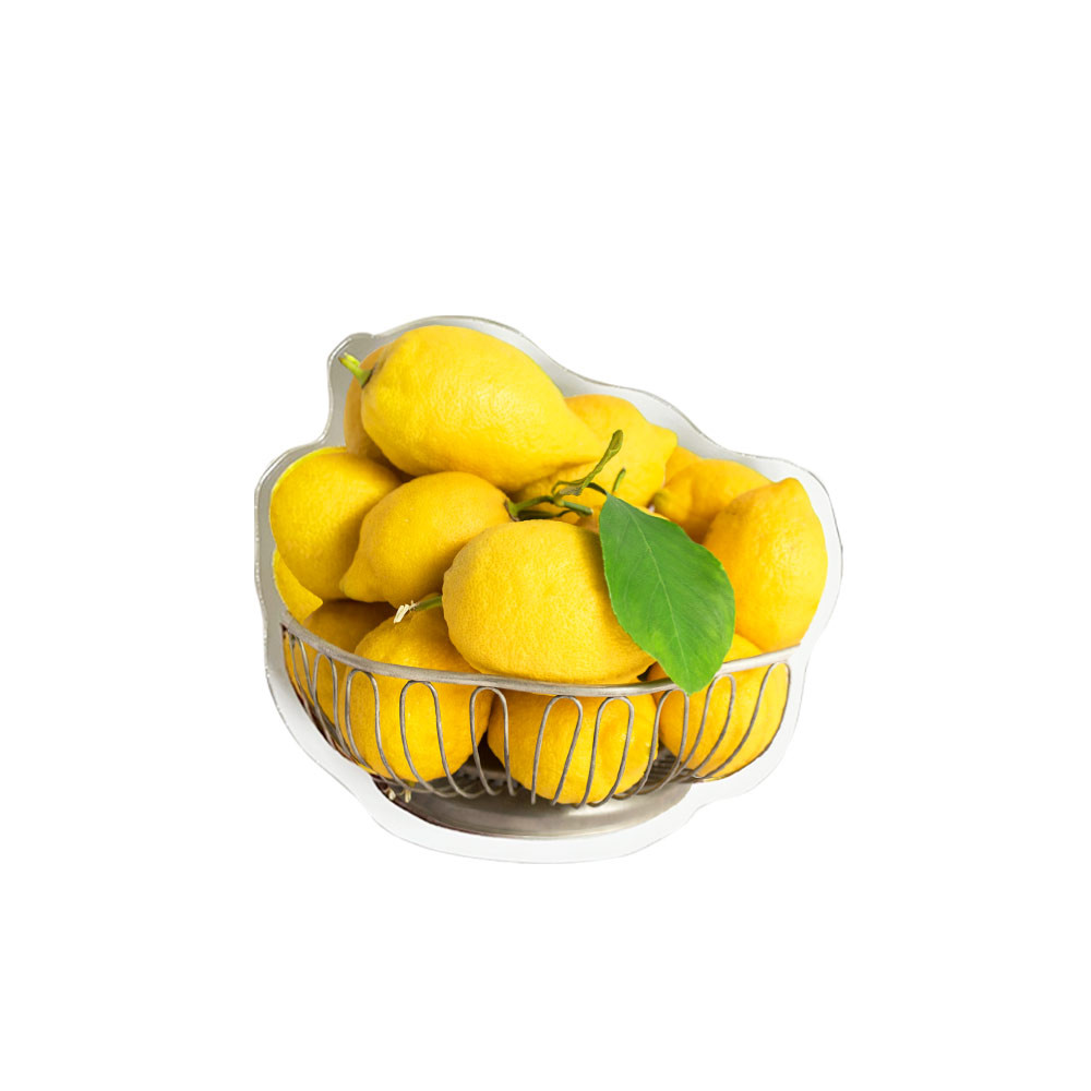 티엠엘 [TML] LEMON BASKET TOK (레몬 그립톡) - 위시버킷
