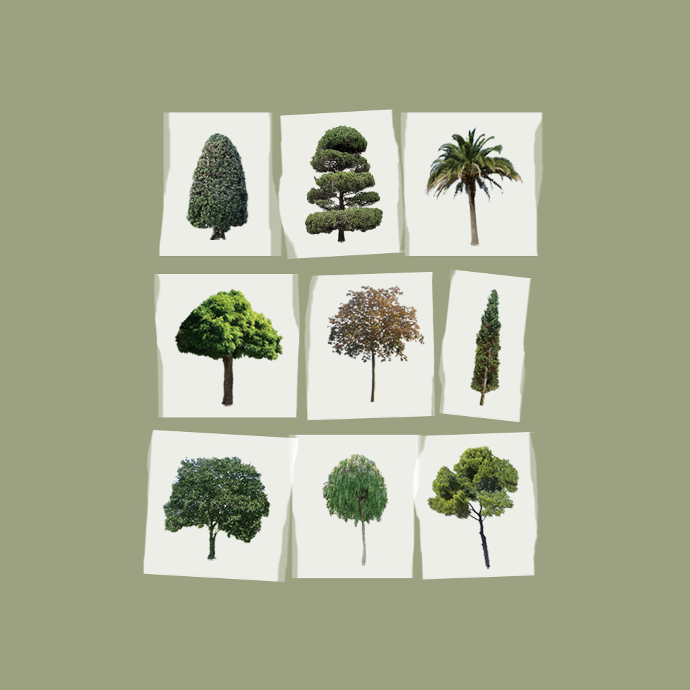 자그네 the tree masking tape / 나무 마스킹 테이프 - 위시버킷